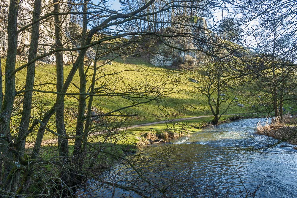 River Dove